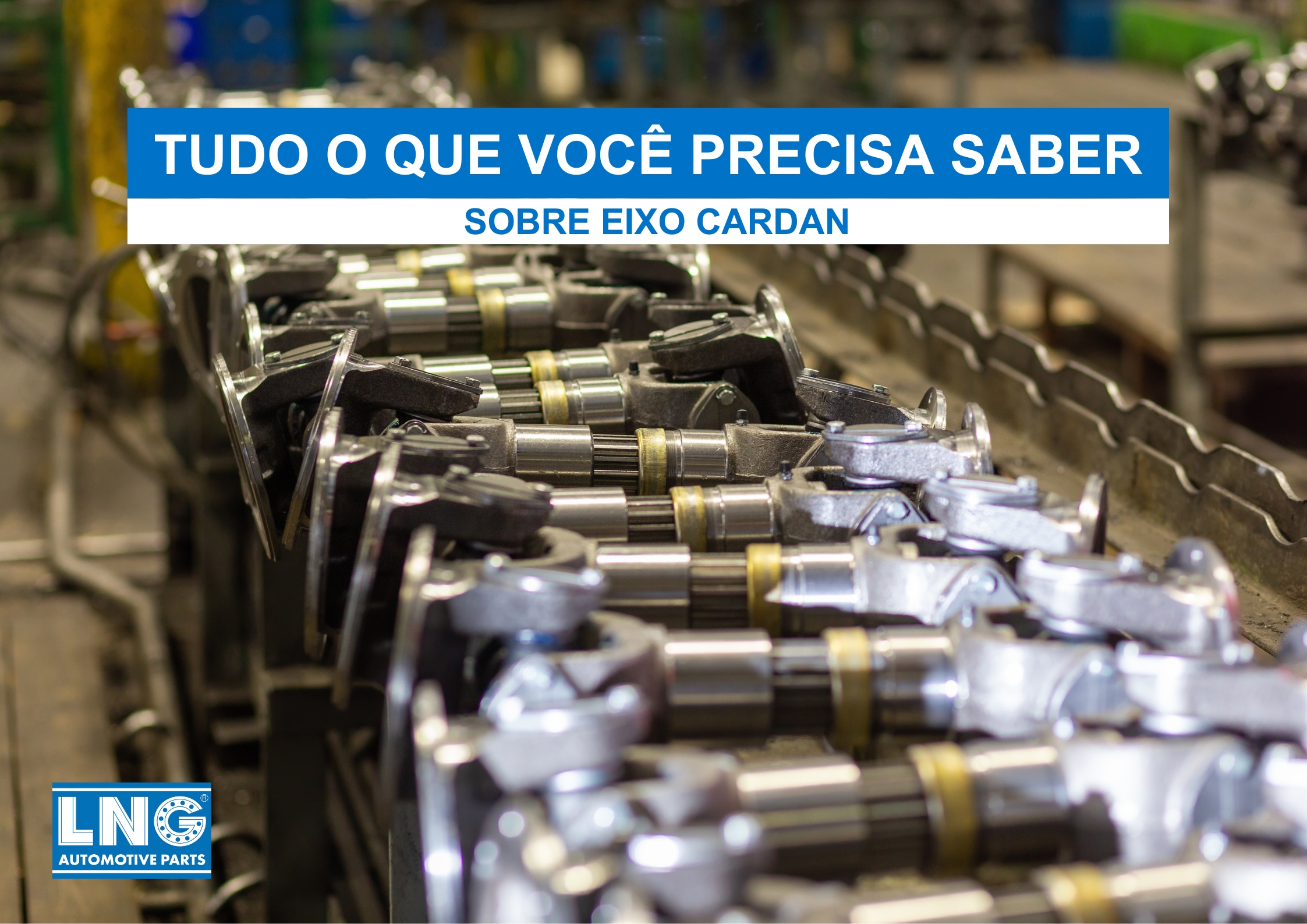 Tudo o que você precisa saber sobre o eixo Cardan: manutenção e escolha de  peças - LNG